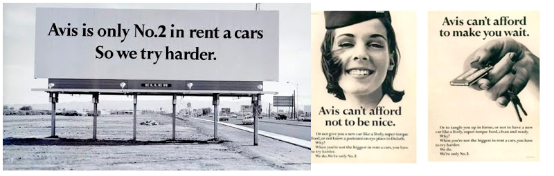 campaña Avis, años 50